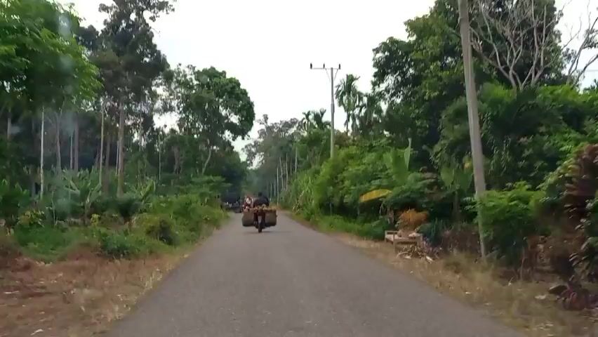 The video shows a view from a vehicle traveling on a paved road lined with lush green vegetation and trees. The road is relatively narrow and appears to be in a rural or semi-rural area. In the distance, there are several motorcycles, some with riders and some carrying goods. One motorcycle in the foreground has a large load strapped to the back. Smoke is visible rising from somewhere off to the left side of the road. The sky is overcast. The overall impression is of a tranquil journey through a verdant landscape.