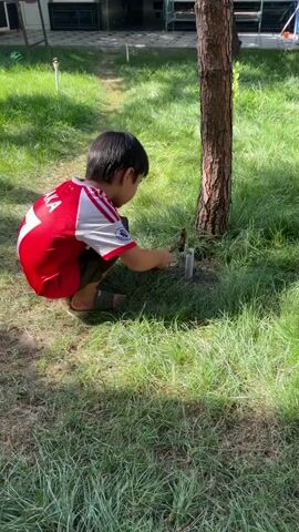A child wearing a red and white shirt and dark shorts kneels in the grass near a tree. The child is holding a small hammer and is striking a white cylindrical object embedded in the ground. The ground is covered in green grass and sunlight filters through the trees, creating dappled shadows. In the background, a building structure is visible. The child appears focused on the task of hammering the object.