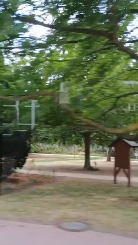The video captures a point-of-view perspective of a person moving through a park or a landscaped area. The scene transitions from a paved path surrounded by trees on the left and grass on the right, to an area with more dense foliage, ornamental plants, and trees. In the distance on the path, a lone figure is walking. Further along, a traffic sign on a pole is visible. The lighting suggests it is daytime, with a cloudy sky.