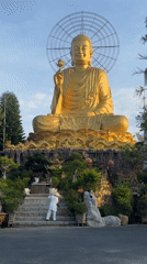 Golden Buddha statue documented in Đà Lạt temple gardens
