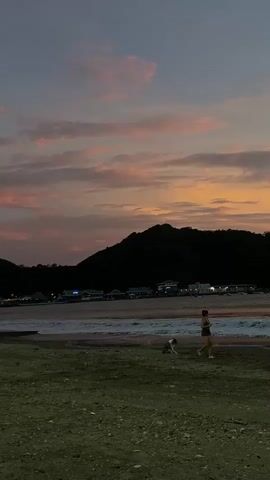 The video shows a beach scene at dusk. The sky is filled with vibrant orange and pink clouds, with a dark silhouette of a mountain in the background. A few buildings are visible along the coast. In the foreground, a person is walking on the sandy beach with a dog. The waves are gently rolling onto the shore.