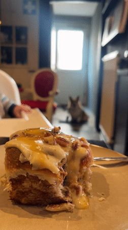 Afternoon cinnamon roll moment captured in German household