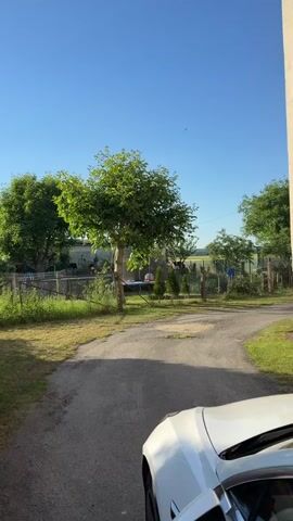 The video shows a white car parked on a dirt road next to a grassy area. A tree with green leaves stands in the middle of the scene. Behind the tree, there is a fence, some smaller trees, and what appears to be a trampoline covered with a blue tarp. The sky is clear and blue, indicating a sunny day. The car is mostly out of focus in the foreground.