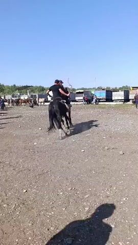 Two men on horseback are in a dusty outdoor arena. The man on the left is on a brown horse, and the man on the right is on a black horse. The man on the black horse is holding a whip and appears to be interacting with the brown horse, possibly trying to control it. The brown horse seems to be reacting to the whip. In the background, there are several other horses, some people standing around, and what appears to be some sort of market or gathering. The sky is clear and blue. The ground is dirt and gravel.