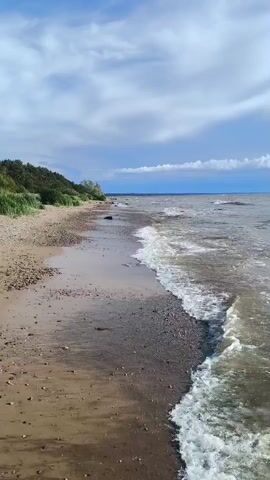 A video clip shows a view of a pebble and sand beach with gentle waves lapping at the shore. A line of green vegetation can be seen along the top of the beach, and a vast body of water stretches out to the horizon under a cloudy sky. The camera is positioned near the water's edge, looking out towards the sea.