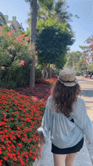 Morning stroll through Kemer's gardens, flora up close