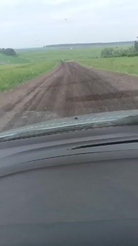 The video shows the view from inside a vehicle driving on a dirt road through a rural landscape. The road is a light brown color and appears to be somewhat muddy in places, with tire tracks visible. On either side of the road are vast fields of green grass or crops. In the distance, the land appears flat and stretches to the horizon, meeting a cloudy, overcast sky. There are a few scattered trees and small clusters of vegetation visible along the fields and in the far distance. The interior of the vehicle is visible in the foreground, including the dashboard and the edge of the windshield. No people are clearly visible, though there is a suggestion of a distant figure or object in the middle of the road in the far distance.