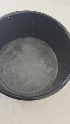 The video shows a black-rimmed mug on a white countertop, filled with water. As the camera angle shifts, the design of the mug is revealed as a Gryffindor emblem. Something, possibly sugar, is sprinkled into the water in the mug. The audio consists of the sound of someone adding the particles, and then a person saying “It’s Leviosa”.