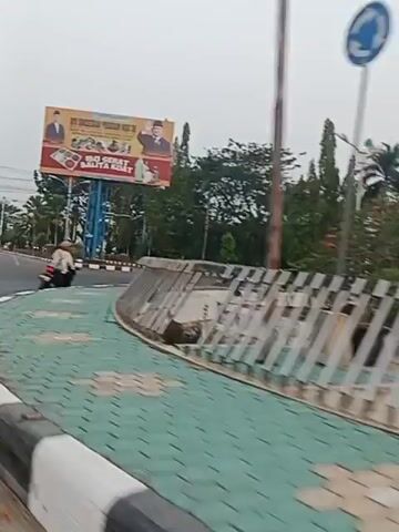 The video shows a street view of a roundabout with a fountain at its center. The fountain is adorned with decorative elements resembling dragons and birds. A flagpole stands to the right of the fountain. The roundabout is surrounded by a white fence with vertical metal bars. The ground in front of the fence is paved with green tiles arranged in a hexagonal pattern. Trees and shrubs are visible behind the fountain. The sky is overcast, suggesting cloudy weather. The video appears to be taken from a moving vehicle, as evidenced by the slightly blurred motion. There are no people visible in the video.
