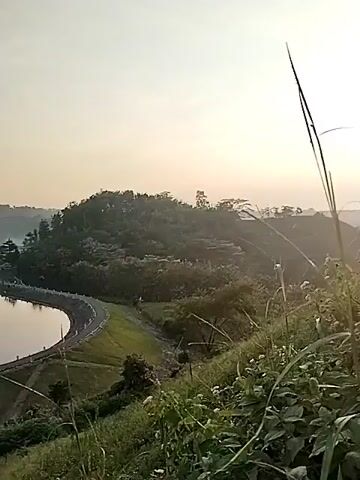 The video opens with a close-up of tall grass and weeds, backlighting by the sun, which casts strong rays through a hazy, light-colored sky. Distant hills are silhouetted in the background.

The camera then pans slowly to the left, revealing a wide, tranquil reservoir or lake nestled among lush, green hills. A prominent curved road or pathway runs along the edge of the water, bordered by neatly landscaped, terraced-like slopes that descend towards the water. The surface of the water is calm, reflecting the pale sky and surrounding topography.

Further across the reservoir, more forested hills are visible, with a few small buildings scattered among the trees. The entire scene is bathed in the soft, warm light of either early morning or late afternoon, creating a peaceful ambiance. No people or visible text are present. The setting depicts a scenic reservoir landscape, likely in Jambeyan, Indonesia.