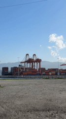 Sunny afternoon scenes captured across Vancouver's waterfront and downtown