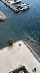 Chef and marina scenes captured in Tivat, Montenegro