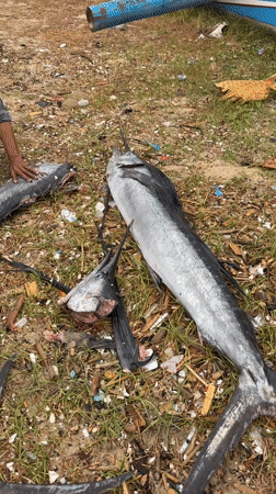 Person cuts silver objects on Indonesian beach