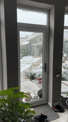 Four cats gather outside snowy Kursk home seeking entry