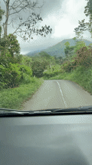Driver navigates curved rural road through lush Indonesian countryside
