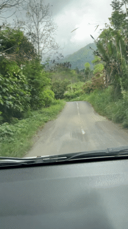 Driver navigates curved rural road through lush Indonesian countryside