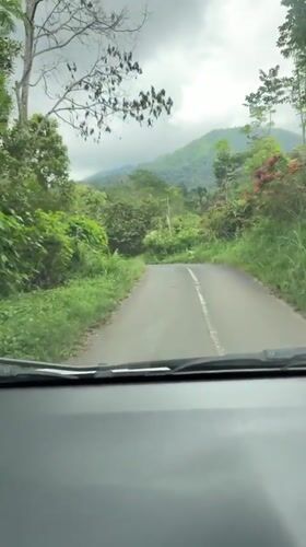 Driver navigates curved rural road through lush Indonesian countryside