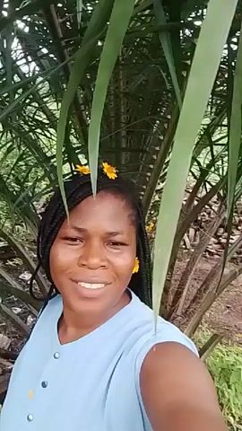A young woman with braided hair adorned with small yellow flowers is captured in a close-up selfie. She is wearing a light blue t-shirt with a buttoned neckline. The background consists of lush green foliage, likely palm fronds, suggesting an outdoor, possibly tropical, setting. The woman's expression is animated, with her lips pursed as if speaking or making a playful gesture. The lighting is natural, indicating daylight. The camera angle is slightly from below, looking up at the woman.