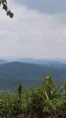 Misty mountain landscape captured at dawn in Đa Thọ, Vietnam