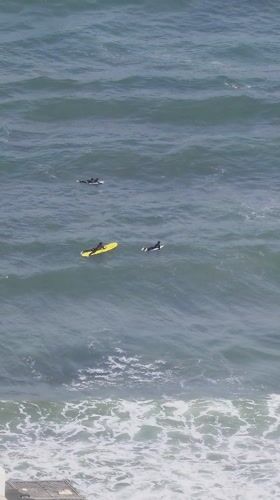 Morning scenes documented across Al Jizah include surfers, portrait, cat