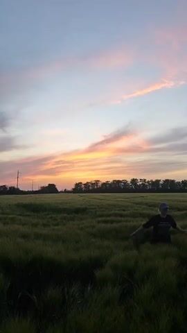 A woman walks through a tall grass field. She is wearing a black t-shirt, black shorts, and a light blue baseball cap. Her blonde hair is pulled back in a ponytail. She smiles and gestures with her hands as she walks towards the camera. The field of grass is green and lush. In the background, there is a line of trees and a sunset sky. The sky is a mix of pink, orange, and blue colors.