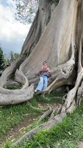 A young woman with brown hair, wearing a brown tank top, light blue jeans, white sneakers, and sunglasses stands and poses on the giant roots of a very large tree. She wears a jacket that is hanging off her shoulder.  The tree has a massive trunk and extensive above-ground root system.  The ground around the tree is covered in grass.  In the background, the sky is overcast, and a small sign is visible.