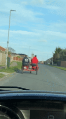 Horse-drawn cart spotted on residential street in Belton
