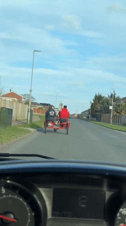 Horse-drawn cart spotted on residential street in Belton