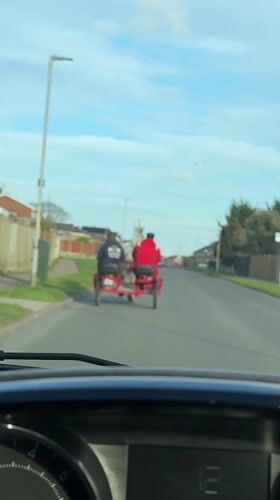 Horse-drawn cart spotted on residential street in Belton