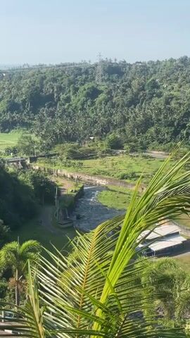 The video shows a wide shot of a dam and its surrounding landscape. In the foreground, a large green palm frond partially obscures the view. Beyond the frond, a body of water resembling a river flows between two banks. On the left bank, there's a road and some buildings. On the right bank, a large, tiered stone structure, possibly part of the dam, slopes upwards. The background is dominated by a lush green forest covering hills, with a clear blue sky above. A tall power line tower is visible in the distance. The camera pans from left to right, revealing more of the dam's structure and the forested hills.
