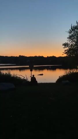A person sits facing a lake at dusk. The sky is a gradient of deep blue to orange. The water reflects the colors of the sky. The shoreline is lined with trees and bushes, and there are rocks on the grass in the foreground.