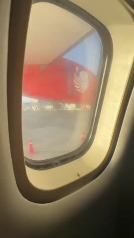 The video shows a close-up view from inside an airplane looking out the window. The window frame is visible, and outside, the wing of a red airplane with a logo is partially seen. An airport tarmac with some orange cones and buildings in the background is also visible through the window. The primary focus of the video is a dead cockroach lying on its back on the window sill. The lighting suggests it is daytime, possibly early morning or late afternoon due to the warm glow.