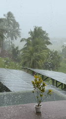 Heavy rain and cafe life documented in General Luna