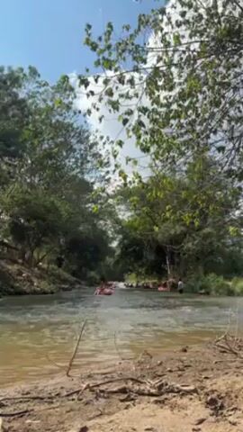 A static, medium-shot video depicts a river teeming with individuals on red inflatable tubes, navigating its course amidst a lush, verdant landscape. The foreground is characterized by a sandy bank, sparsely adorned with scattered sticks and dried vegetation. The river, occupying a central portion of the frame, reflects sunlight, adding a glimmering effect to its surface. Several people are visible in the river, each perched on a red tube. The riverbanks are densely vegetated with tall trees, their branches extending to frame the scene. The sky above is a clear, bright blue, accentuated by scattered, fluffy white clouds.