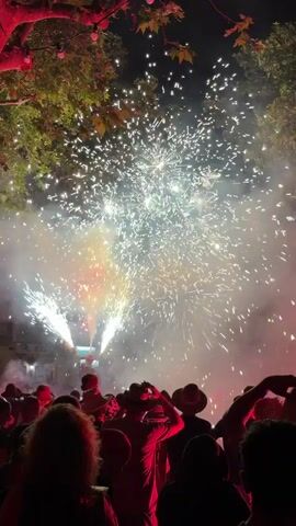 The video shows a night scene with fireworks exploding against a dark sky. A crowd of people are gathered below, silhouetted against the light of the fireworks. The fireworks are bright white and produce a shower of sparks. Some red lighting is visible on the ground, illuminating the crowd. Trees with leaves are visible in the upper part of the frame. The overall atmosphere appears festive.