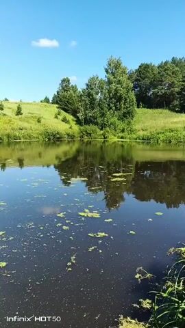 The video shows a wide shot of a calm body of water reflecting a clear blue sky and a treeline. The water has some floating green debris. On the left bank, there are green grassy hills and trees. On the right bank, there is lush green vegetation. The sun is shining, indicating a bright, clear day. The camera appears to be panning slightly to the right, revealing more of the vegetation on the right bank. A watermark "Infinix HOT 50" is visible in the bottom left corner.