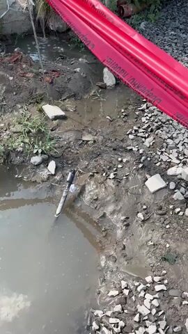 A close-up, high-angle shot shows a small, muddy ditch with murky water. Red caution tape is visible across the top of the frame. A black pen is partially submerged in the water, standing upright. Debris, including concrete pieces and rocks, litters the muddy banks. Green grass sprouts sporadically from the ground. The water appears stagnant and unclean, with ripples suggesting slight movement.
