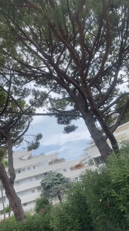 Modern white apartment complex along a tree-lined street in Villeneuve-Loubet