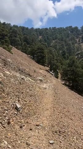 A dirt path winds up a rocky, sparsely vegetated slope. The path is narrow and covered with loose gravel and small stones. On either side of the path, the slope is covered in similar rocky terrain. In the background, a dense forest of pine trees covers the hillside, extending upwards towards a bright blue sky with scattered white clouds. The trees are varied in size and density, creating a textured green canopy across the upper portion of the scene. The overall impression is of a natural, mountainous landscape on a sunny day.