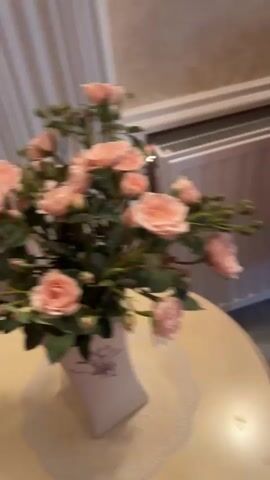A fluffy orange cat is curled up asleep on a tufted chair. The cat then wakes up and is presented with a metal dish of raw meat, which it begins to eat. The video pans around the room showing a radiator and a small round table.