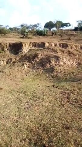 The video shows a person standing in a grassy field facing a small eroded cliff. The cliff has multiple layers of soil visible. In the distance, there are some trees and shrubs. The sky is blue with some white clouds. The person's shadow is visible on the ground.