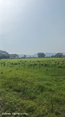 The video shows a view from a moving vehicle, likely a car, driving alongside a green field. The field is enclosed by a simple fence made of wooden posts. In the background, several large trees are visible, along with distant hills against a hazy sky. The weather appears sunny but with some cloud cover. The camera moves with the vehicle, keeping the field in view. The video seems to have been taken with an Infinix NOTE 40Pro smartphone, as indicated by the watermark in the corner.