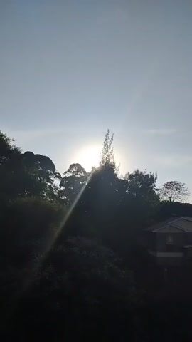The video shows the sun behind a treeline, with sunbeams shining through the foliage. A house is visible on the right side of the frame, partially obscured by trees. The sky is light blue and mostly clear. A bird flies through the sky. The scene appears to be set in a hilly or mountainous area with dense vegetation.