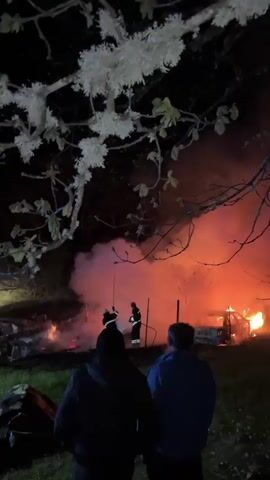 The video captures a nighttime emergency scene involving a fire in Dolno Drianovo, Bulgaria.

The scene features a large fire emitting intense orange and pink smoke, with debris visible in the flames. Several people are present, including at least two individuals in the foreground observing the incident, their backs to the camera. In the background, multiple figures, identifiable as firefighters by their gear, are actively working to suppress the blaze, some using hoses.

A red and white fire truck, with its blue and amber emergency lights flashing, is parked on a grassy area, illuminating the immediate surroundings. One person is seen walking near the fire truck. The environment is dark, highlighting the bright glow of the fire and the vehicle's lights. Overhanging tree branches, covered in distinctive white lichen or moss, are visible in the foreground throughout the video, framing the chaotic scene. The ground appears to be a grassy field.

No visible text is present in the video.