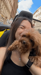 Selfie session with a small fluffy dog in Prague