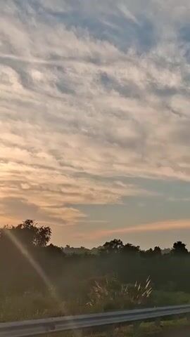 The video shows a sunrise over a rural landscape. The sun is visible in the sky, casting a warm glow on the clouds and trees. The foreground features tall grass and a metal barrier, possibly a roadside guardrail. The overall atmosphere is serene and tranquil.