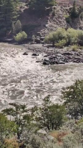 A wide river flows through a rocky, natural landscape. The water is choppy and appears to be moving quickly, with sunlight reflecting off its surface. The riverbanks are lined with trees and vegetation, with a rocky, sparsely vegetated hillside rising in the background. The scene is bathed in sunlight, suggesting it is daytime. There are no people or man-made structures visible in the frame.