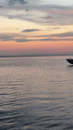 Sunset boat ride and a resting dog in Kokshetau