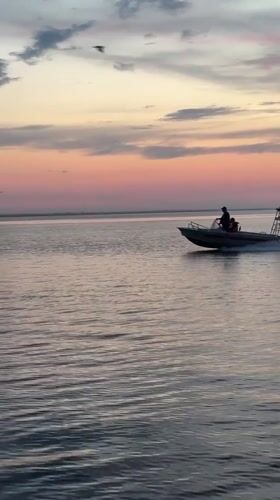 Sunset boat ride and a resting dog in Kokshetau