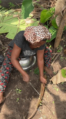 Nigerians conduct routine food prep and yard work